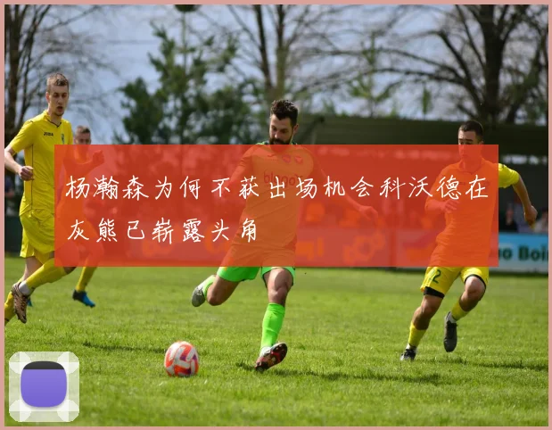 杨瀚森为何不获出场机会科沃德在灰熊已崭露头角
